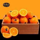 테이스트 이미지