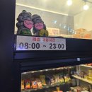 제주엠리조트 | 제주 서귀포 아이랑 가기 좋은 가성비 숙소 추천 제주엠리조트 ft. 마이리얼트립 할인코드