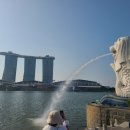 삼길포항 어촌마리나역 | 싱가포르 머라이언파크 - 위치·야경·사진포인트·실제 방문 경험 분석