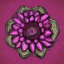 덴탈이유 이미지