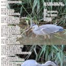 네발구이 이미지