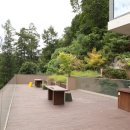 힐리언스 이미지