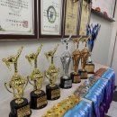 경희대 푸른솔 태권도 이미지