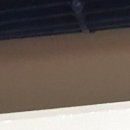 우성댓잎 이미지