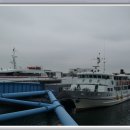 (주)월명유람선 이미지