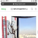 콘래드서울 애프터눈티 먹어본 사람 있어? 이미지