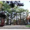 바람고개길 이미지