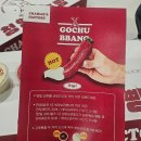 협동조합느린손 | 독박투어 청양고추빵 택배 시켜봤어요! 가격 맛 솔직 후기
