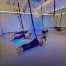 참핏 네이버블로그