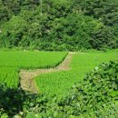 이삭농약사 이미지