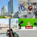 에스디(SD)동물영상센터,서울 | 용산 전자랜드 카메라 용산 즐거운카메라 소니 a7m4
