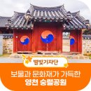 유림-1091 | 영천여행, 보물과 문화재를 만날 수 있는 숭렬공원 /새영천알림이단