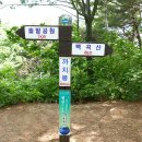 피제 이미지