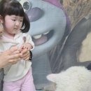 장수선인장 이미지