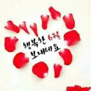 다사랑 Daum카페
