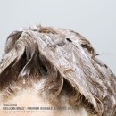 화이트 버블 | 미쟝센 내돈내산 헬로버블 염모제 프라이머 &amp; 화이트실버 셀프염색 후기