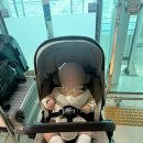 아시아나 대한 항공 유모차 도어투도어 서비스 이용후기 김포 제주 공항 교통약자