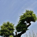 화천민원센터 이미지