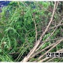 참냉기농장 네이버블로그