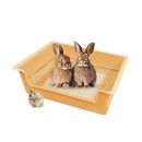 건초사료 | 아크릴 건초렉 토끼 먹이통 기니피그 사료 케이지 화장실 건초렉 단품으로 행복한 우리 집 동물들