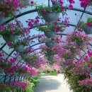노란풍차유치원 | 혼자여도 괜찮은 혼행 국내 힐링코스 BEST 3곳
