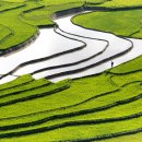 푸른초원 이미지