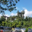 백운천 유원지 이미지