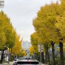 박달재초록꿈체험마을 | 블챌) 한국민속촌 가을 단풍길 따라 즐긴 공연&amp;데이트 후기!