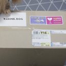 클라이네독 이미지