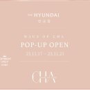 HAUS OF CHA 시그니처라인 경량패딩 펄골드컬러 후기