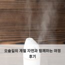 자연과함께 | 오솔길의 계절 자연과 함께하는 여정 후기