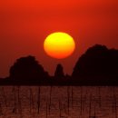 삼남매바지락칼국수 이미지