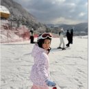 하브루타 부모코칭 전문가 초급(자격) | 곤지암 어린이스키강습 극찬했던 레슨후기