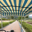 출렁다리농산물 | 함께한 포천 한탄강 가든페스타 &amp; Y형 출렁다리 가족 여행 후기 (feat. 이동갈비, 갈비빵, 상품권 꿀팁)