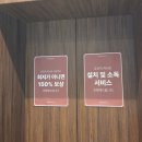 하우스빌세탁전문점 | 부천 베이비하우스 : 신생아 카시트 싸이벡스 제로나T 최저가 구매후기 🚗🛍️
