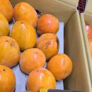 광산구-038 이미지