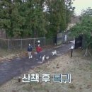 산책민박 이미지