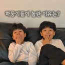 스테이 피치스 이미지