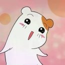 박가한우 이미지