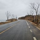 자장목장 Daum카페