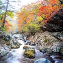 맑은내소공원 이미지