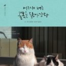 책고양이 이미지