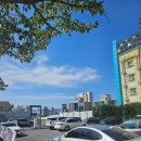 동구-6 | 울산 동구 일산지 대형카페 6의3승 내돈내산 후기