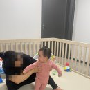 베이굼 이미지