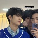 하도데이 이미지