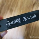 곰배령 주니네 네이버블로그