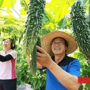 웰빙식품 이미지