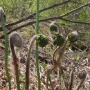 도자농장 이미지