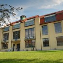 바우하우스 이미지