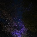 승학산 배드민턴장 이미지